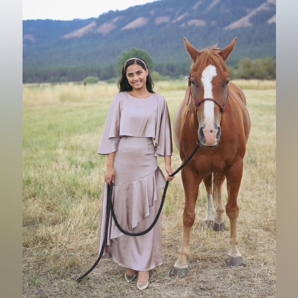 ❗️SOLD❗️ Dainty Jewells Divine Dinner Dress, Champaign - Picture 3 of 5